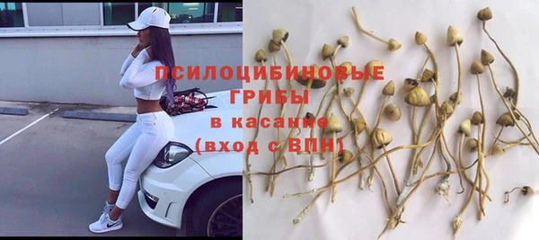 mix Аркадак
