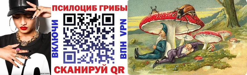 Галлюциногенные грибы Cubensis  как найти   Кувандык 